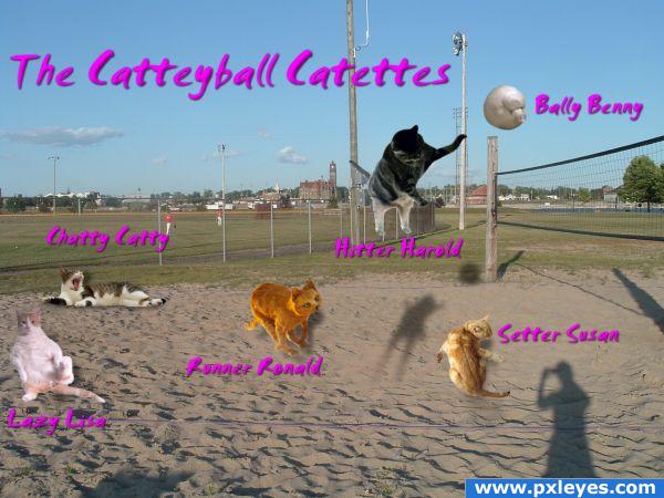 Creation of The Catteyball Catettes: Final Result